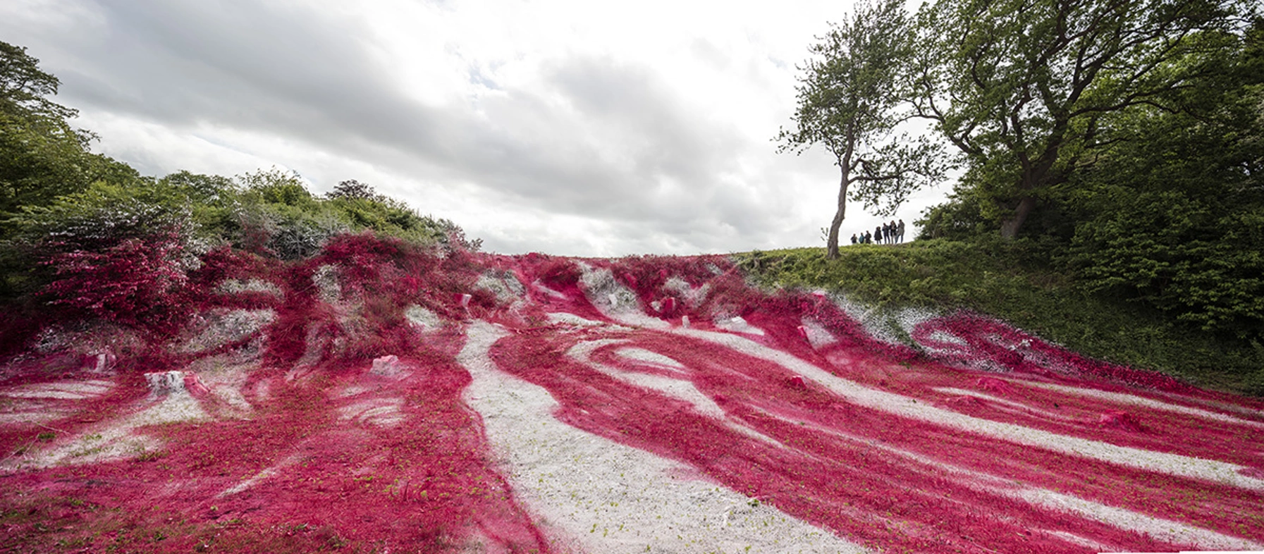 katarina grosse græs spraymalet pink