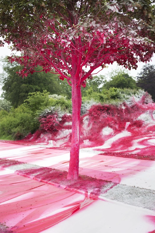katarina grosse træ spraymalet pink